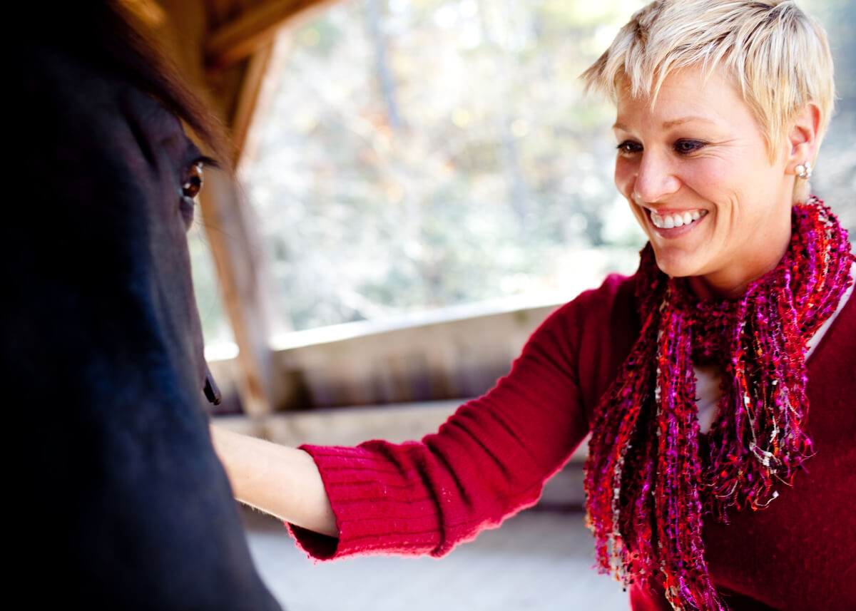 Where to Find Horses in Western North Carolina