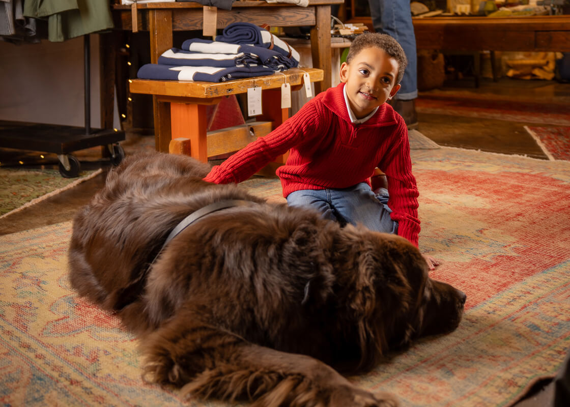 Shop Dog20231220 761-explore-brevard