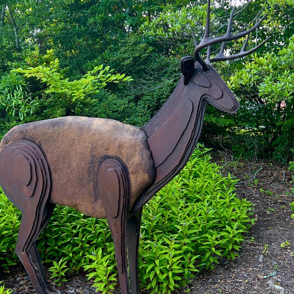 Red Deer sculpture at South Broad Park on the Brevard Sculpture Walk