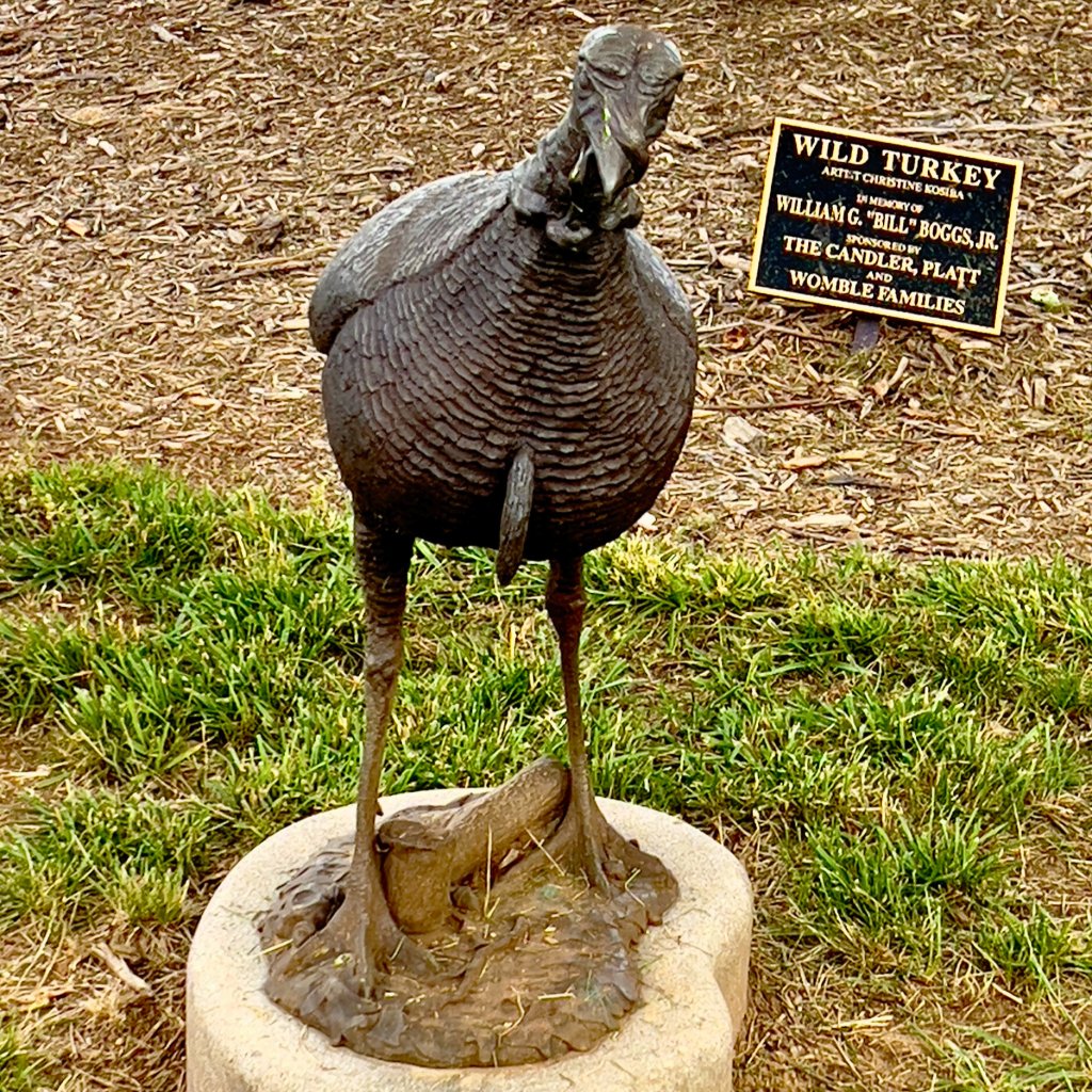 Wild Turkey sculpture at First Citizens Bank on the Brevard Sculpture Walk