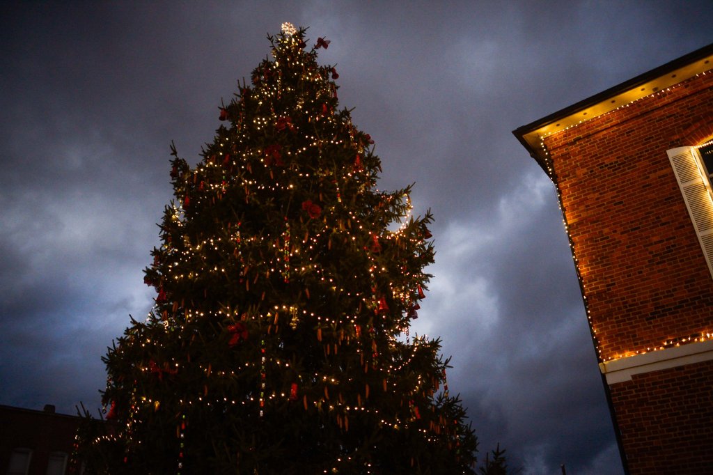 Courthouse Christmas tree lit up for the holidays in Downtown Brevard
