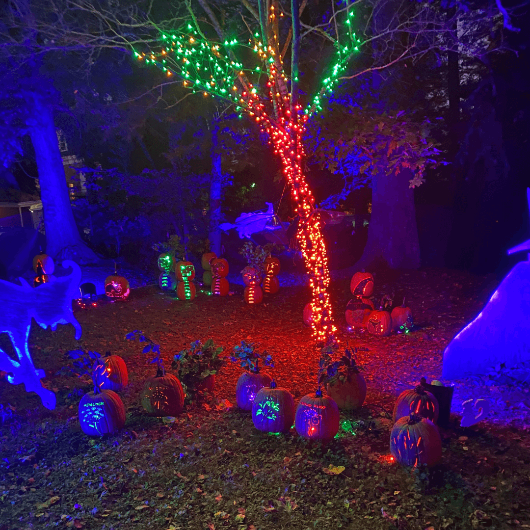 Pumpkinfest-explore-brevard